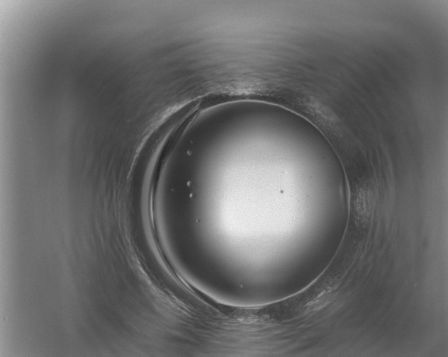 X0000058130540200509301955