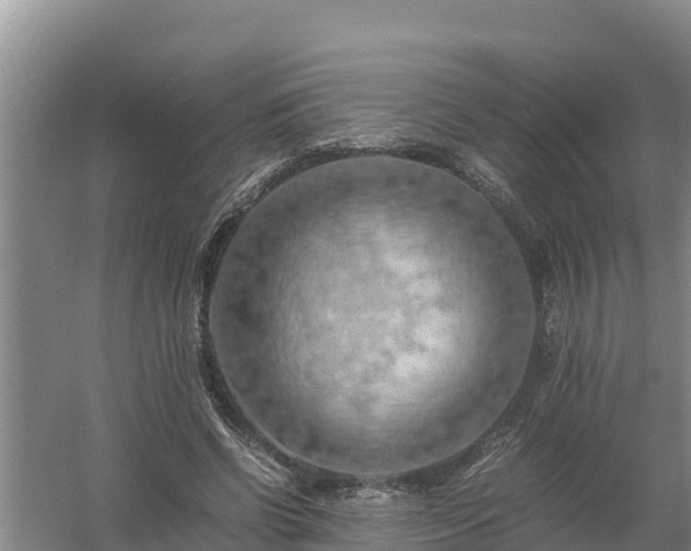 X0000058130542200509301955