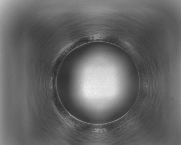 X0000058130543200509301955