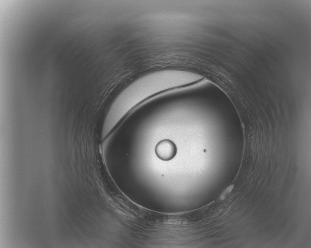 X0000058130546200509301955