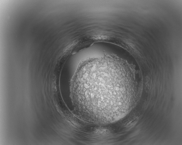 X0000058130547200509301955