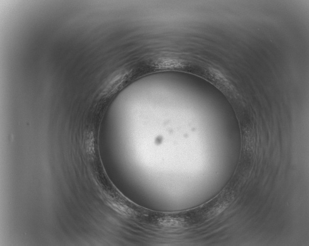 X0000058130549200509301955