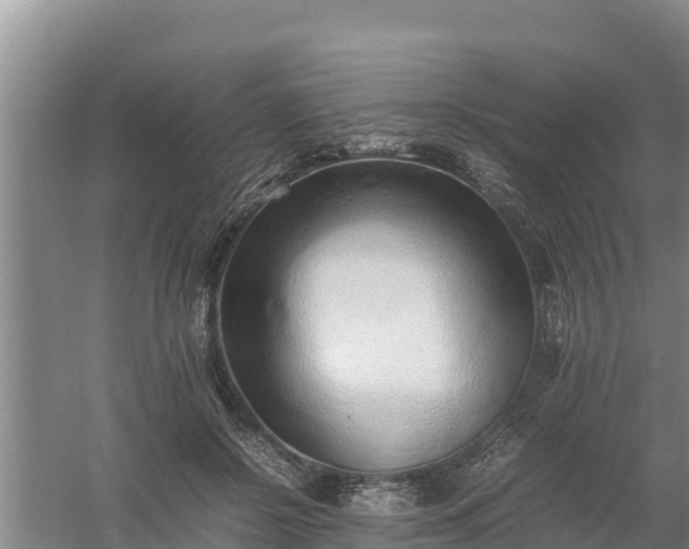 X0000058130550200509301955