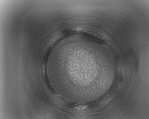 X0000058130551200509301955