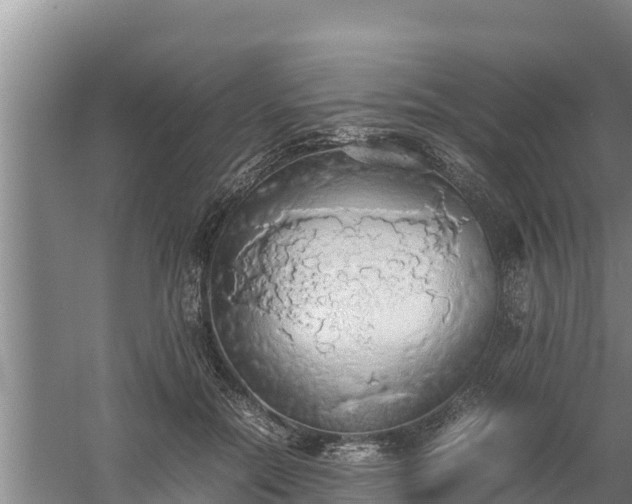 X0000058130554200509301955