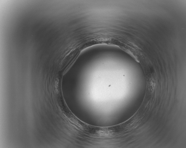 X0000058130556200509301955