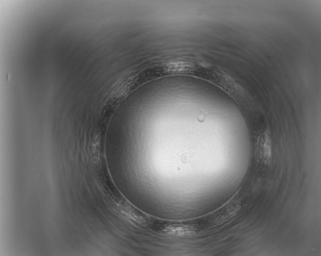 X0000058130557200509301955