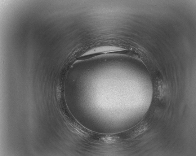 X0000058130558200509301955