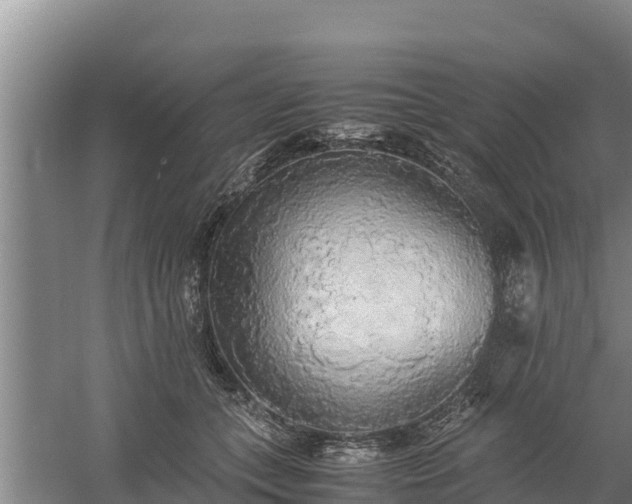 X0000058130559200509301955