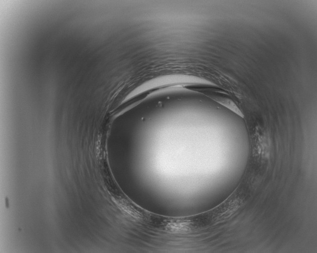 X0000058130560200509301955