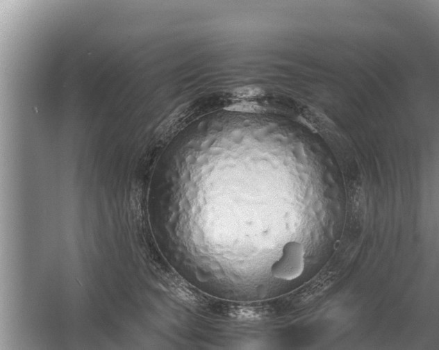 X0000058130565200509301956