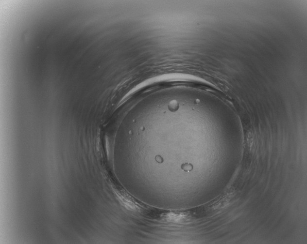 X0000058130570200509301956