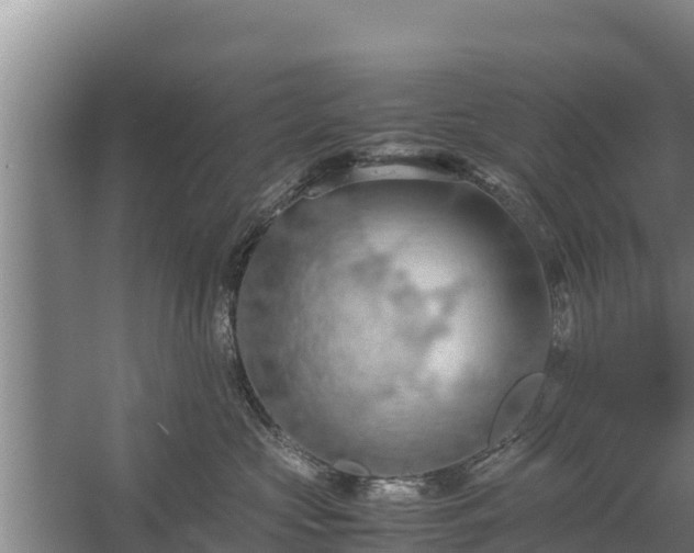 X0000058130573200509301956