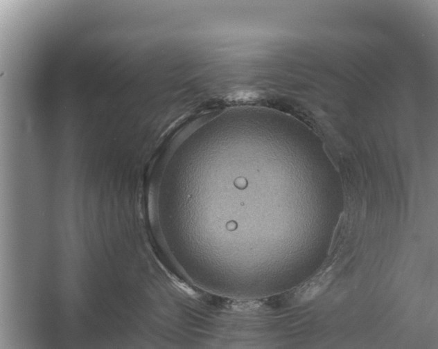 X0000058130576200509301956