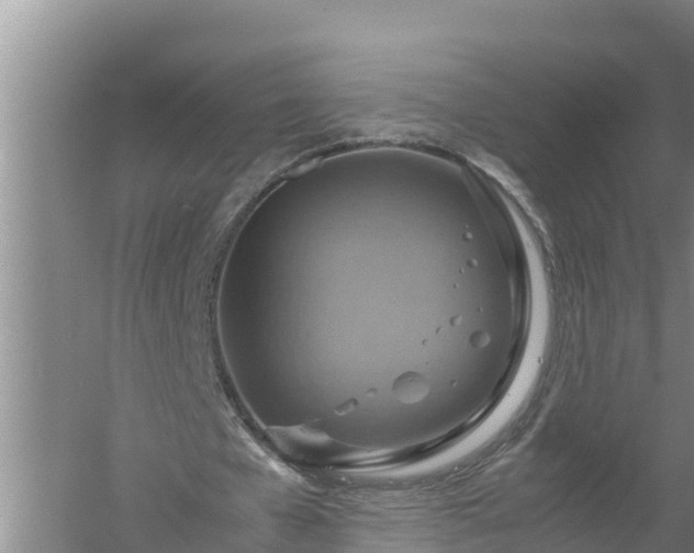 X0000058130577200509301955