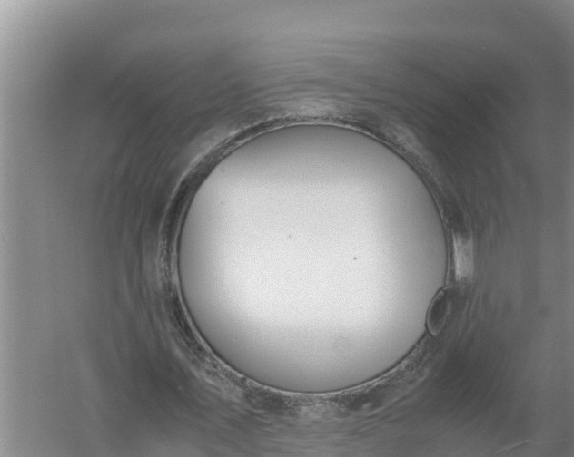 X0000058130579200509301955