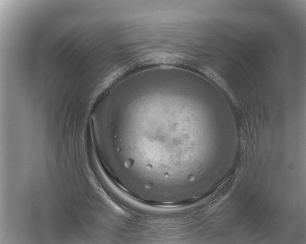 X0000058130581200509301955