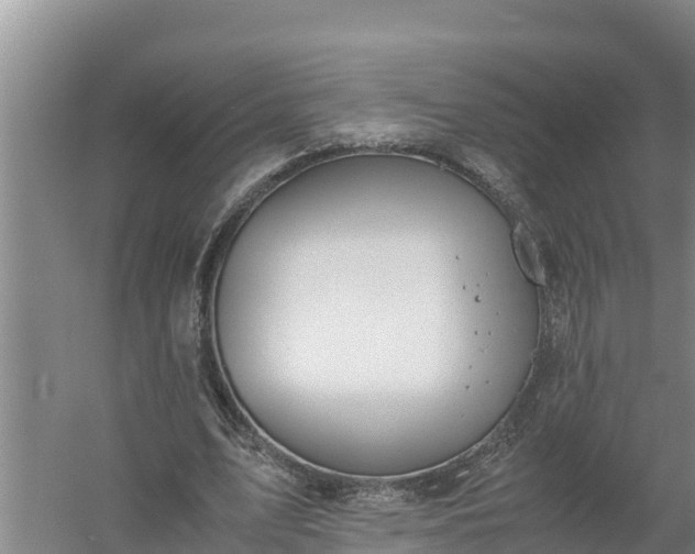 X0000058130583200509301955