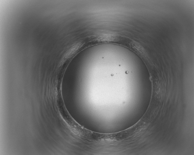 X0000058130586200509301955