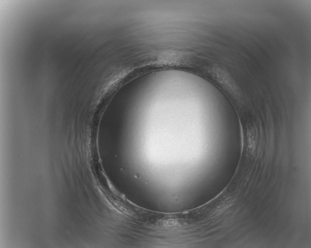 X0000058130588200509301955