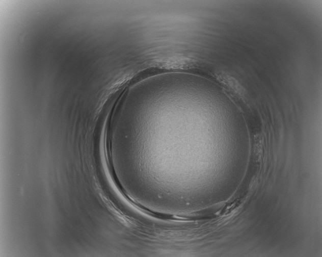 X0000058130589200509301955