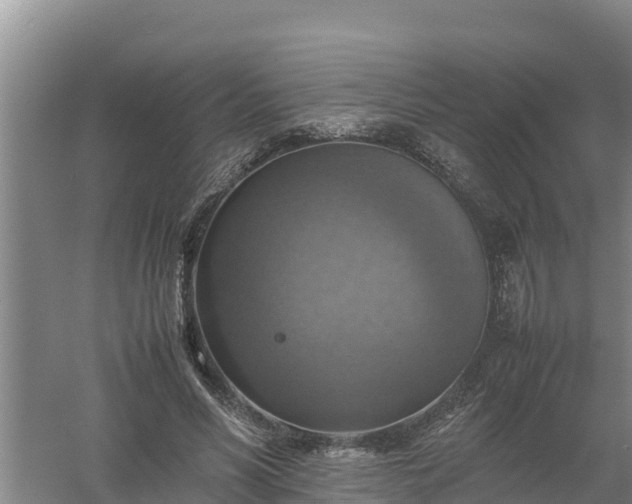 X0000058130590200509301955