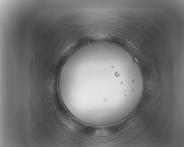 X0000058130591200509301955