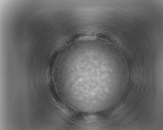 X0000058130594200509301955