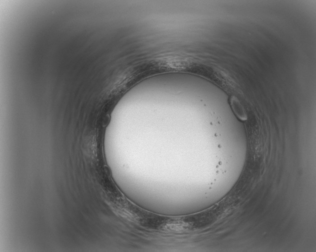 X0000058130595200509301955