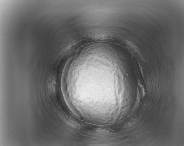 X0000058130596200509301955