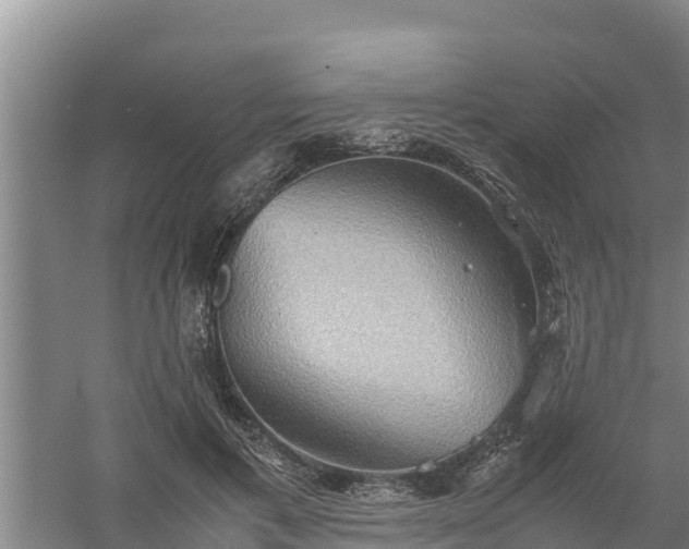 X0000058130597200509301955