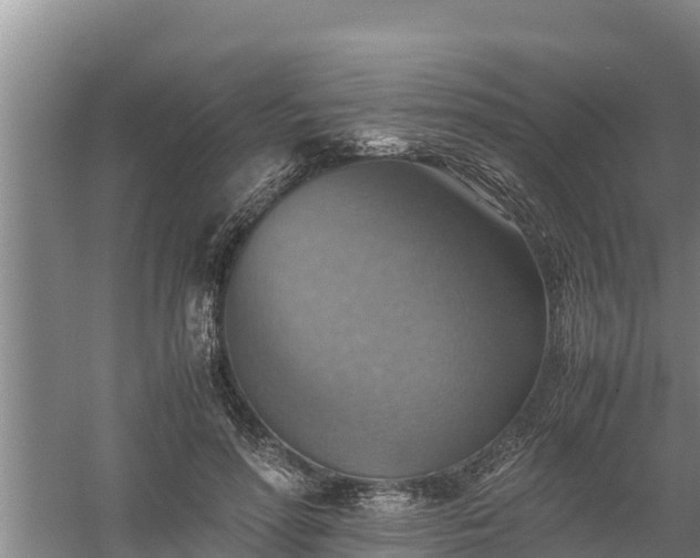 X0000058130598200509301955