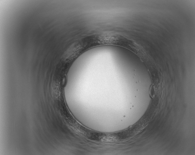 X0000058130599200509301955