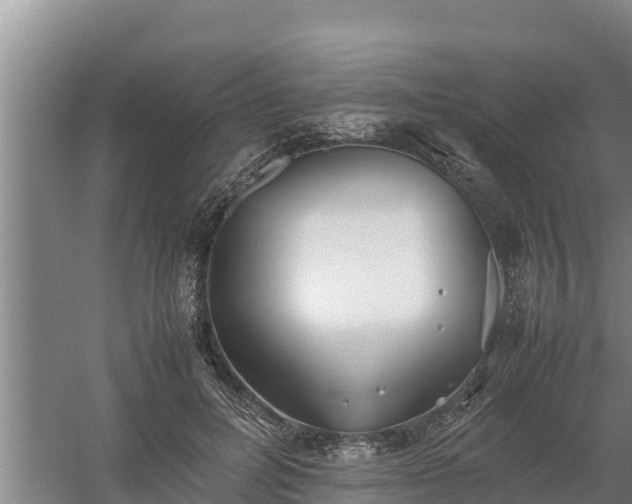 X0000058130600200509301955