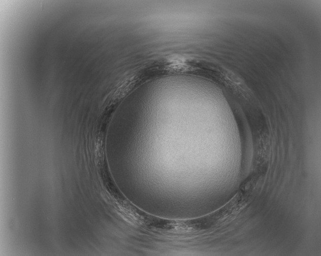 X0000058130601200509301955