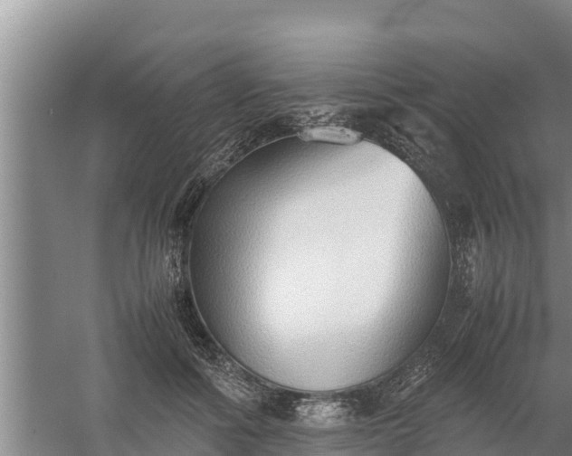 X0000058130602200509301955