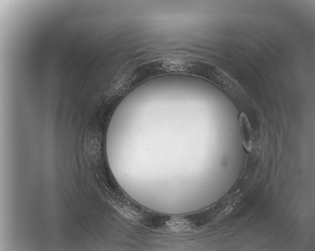 X0000058130603200509301955