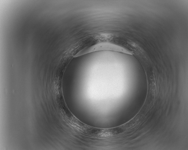 X0000058130604200509301955