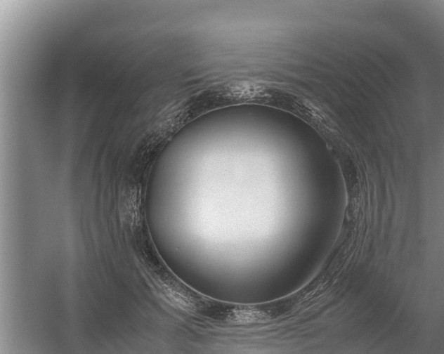 X0000058130605200509301954