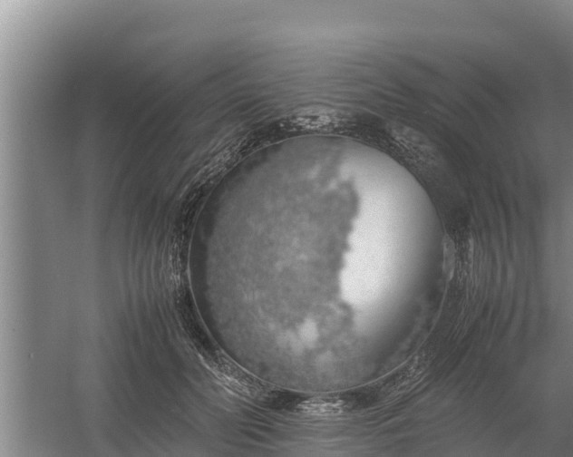 X0000058130606200509301954