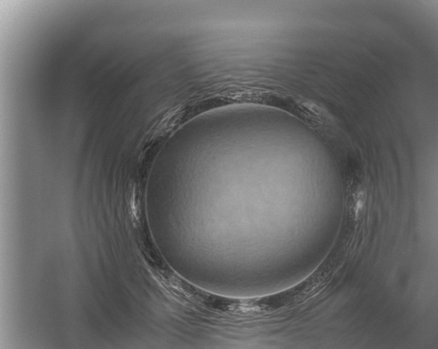 X0000058130607200509301954