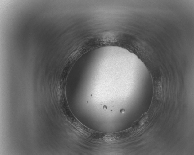 X0000058130608200509301954