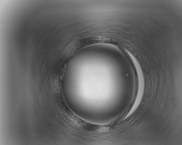 X0000058130609200509301954