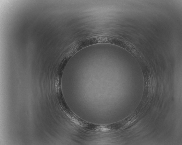 X0000058130610200509301954