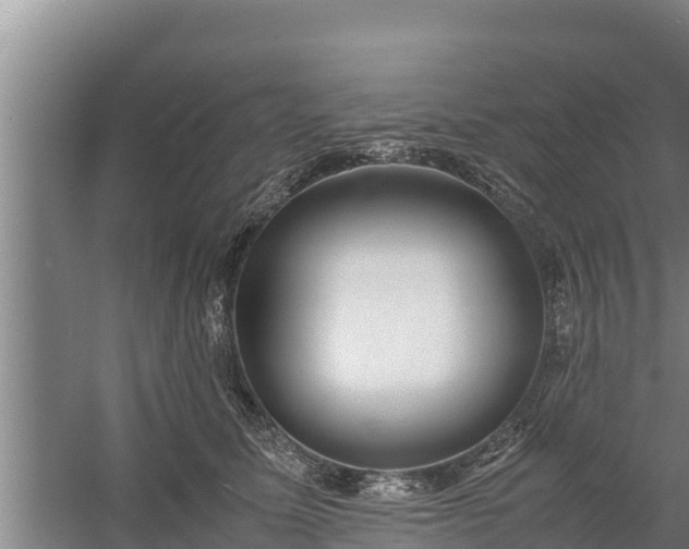 X0000058130611200509301954