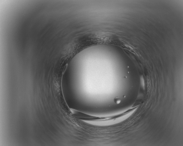 X0000058130613200509301954