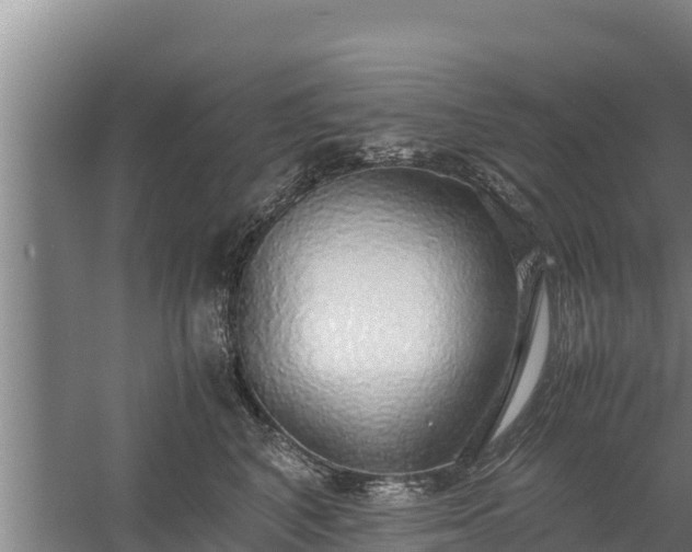 X0000058130616200509301954