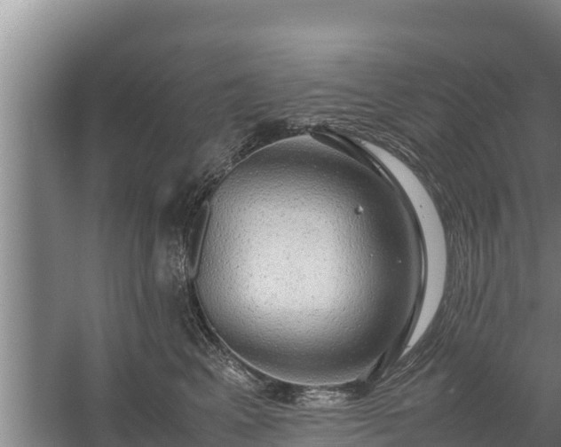 X0000058130617200509301954