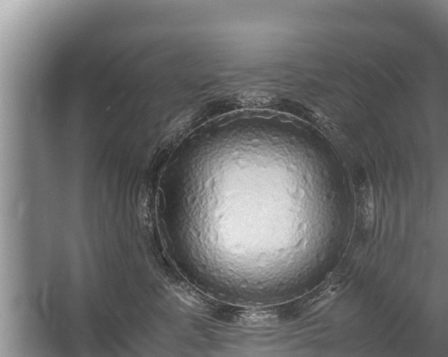 X0000058130619200509301954