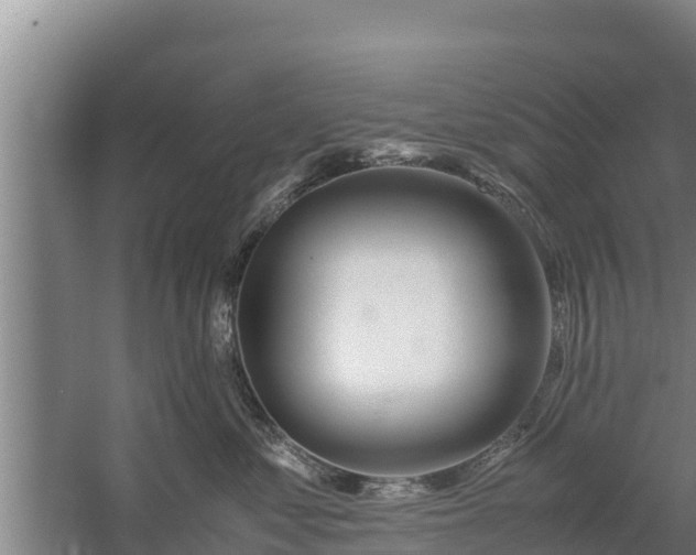 X0000058130621200509301954